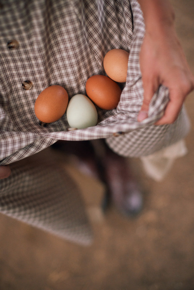 Rocky Mae | Equestrian Inspired Dress | Coco Plaid