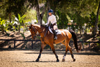 Mel Mock | Feather Air | Long Sleeve Schooling Top | Pro Series Pink