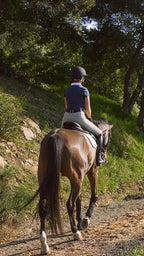 Person riding a horse on a dirt path surrounded by greenery