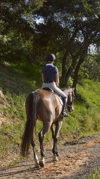 Person riding a horse on a dirt path surrounded by greenery
