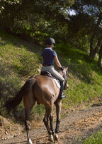 Person riding a horse on a dirt path surrounded by trees
