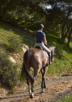 Person riding a horse on a dirt path surrounded by greenery